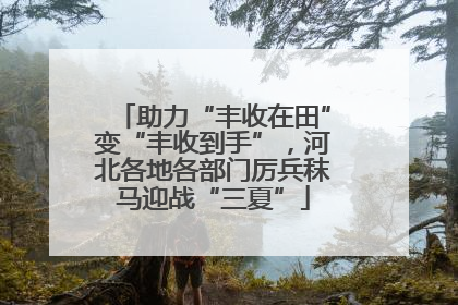 助力“丰收在田”变“丰收到手”，河北各地各部门厉兵秣马迎战“三夏”