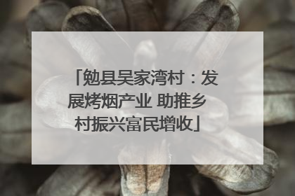 勉县吴家湾村：发展烤烟产业 助推乡村振兴富民增收