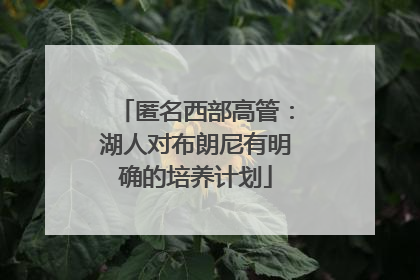 匿名西部高管：湖人对布朗尼有明确的培养计划