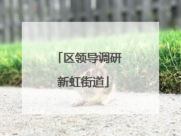 区领导调研新虹街道