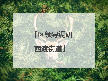 区领导调研西渡街道