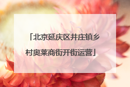 北京延庆区井庄镇乡村奥莱商街开街运营