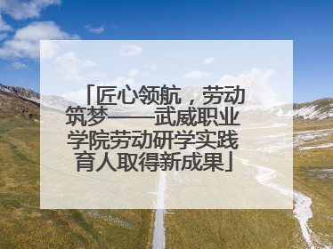 匠心领航，劳动筑梦——武威职业学院劳动研学实践育人取得新成果