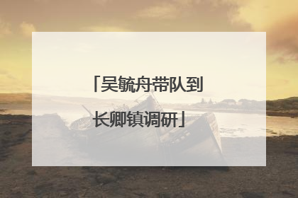 吴毓舟带队到长卿镇调研