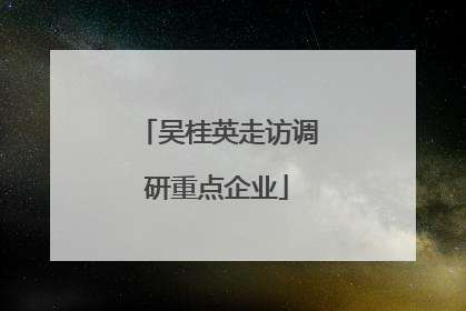 吴桂英走访调研重点企业