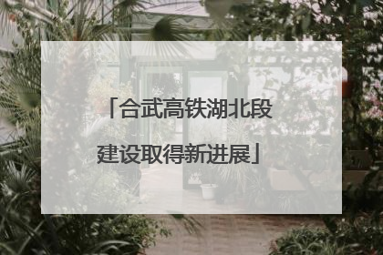 合武高铁湖北段建设取得新进展