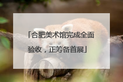 合肥美术馆完成全面验收，正筹备首展