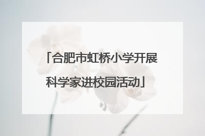 合肥市虹桥小学开展科学家进校园活动