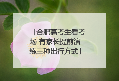 合肥高考生看考场 有家长提前演练三种出行方式