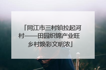 同江市三村镇拉起河村——田园织锦产业旺 乡村焕彩文明浓