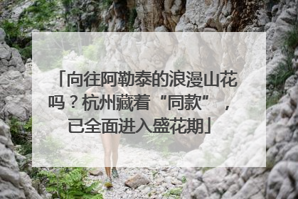 向往阿勒泰的浪漫山花吗？杭州藏着“同款”，已全面进入盛花期