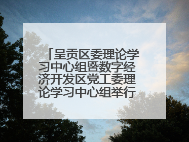 呈贡区委理论学习中心组暨数字经济开发区党工委理论学习中心组举行2025年第七次学习会议