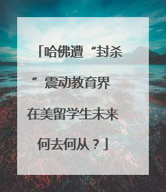 哈佛遭“封杀”震动教育界 在美留学生未来何去何从？