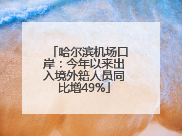 哈尔滨机场口岸：今年以来出入境外籍人员同比增49%