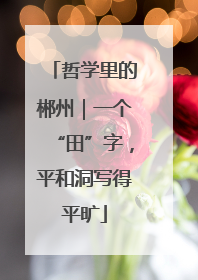 哲学里的郴州｜一个“田”字，平和洞写得平旷