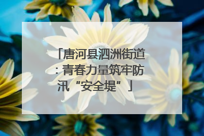 唐河县泗洲街道：青春力量筑牢防汛“安全堤”