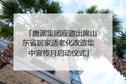 唐派集团应邀出席山东省居家适老化改造集中宣传月启动仪式
