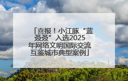喜报！小江豚“蓝叒叒”入选2025年网络文明国际交流互鉴城市典型案例