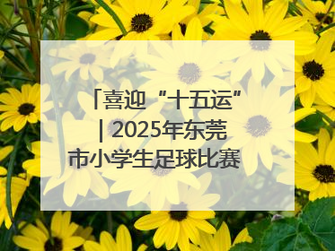 喜迎“十五运”｜2025年东莞市小学生足球比赛圆满收官