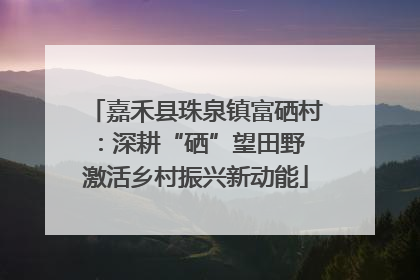 嘉禾县珠泉镇富硒村：深耕“硒”望田野 激活乡村振兴新动能