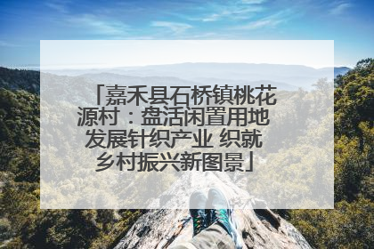 嘉禾县石桥镇桃花源村：盘活闲置用地发展针织产业 织就乡村振兴新图景