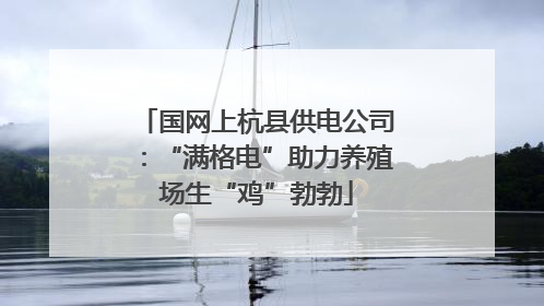 国网上杭县供电公司：“满格电”助力养殖场生“鸡”勃勃