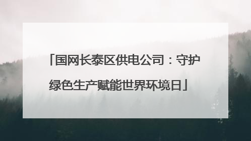 国网长泰区供电公司：守护绿色生产赋能世界环境日