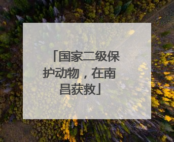 国家二级保护动物，在南昌获救