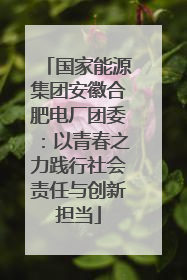 国家能源集团安徽合肥电厂团委：以青春之力践行社会责任与创新担当