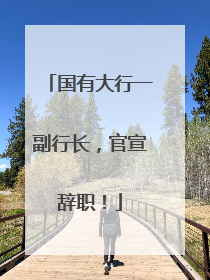 国有大行一副行长，官宣辞职！
