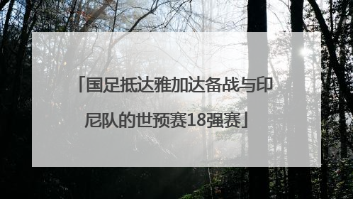 国足抵达雅加达备战与印尼队的世预赛18强赛