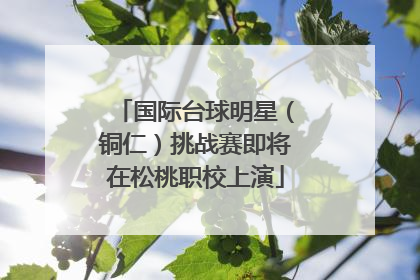 国际台球明星（铜仁）挑战赛即将在松桃职校上演