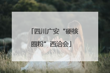 四川广安“硬核圈粉”西洽会