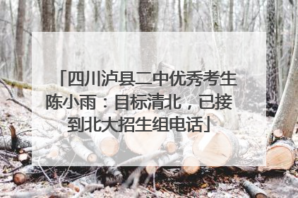 四川泸县二中优秀考生陈小雨：目标清北，已接到北大招生组电话