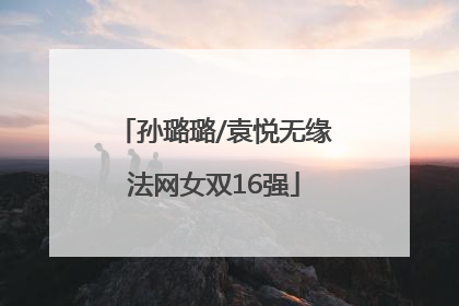 孙璐璐/袁悦无缘法网女双16强