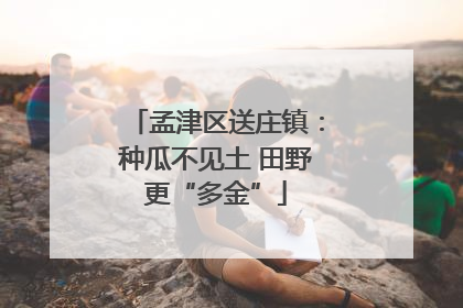 孟津区送庄镇：种瓜不见土 田野更“多金”