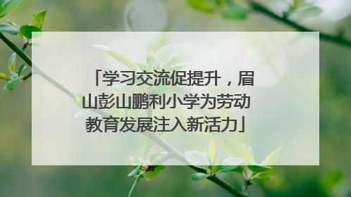 学习交流促提升，眉山彭山鹏利小学为劳动教育发展注入新活力