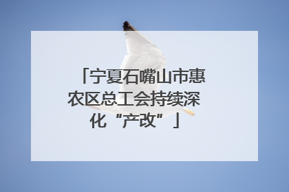 宁夏石嘴山市惠农区总工会持续深化“产改”