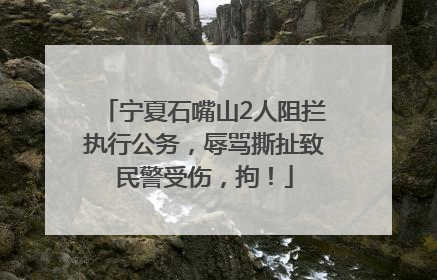 宁夏石嘴山2人阻拦执行公务，辱骂撕扯致民警受伤，拘！