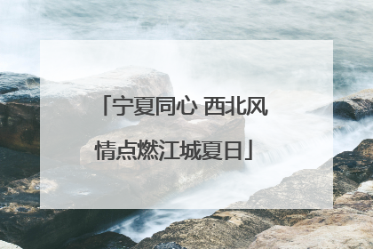 宁夏同心 西北风情点燃江城夏日