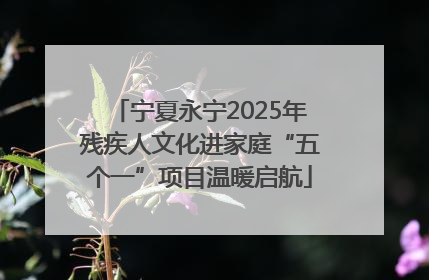 宁夏永宁2025年残疾人文化进家庭“五个一”项目温暖启航
