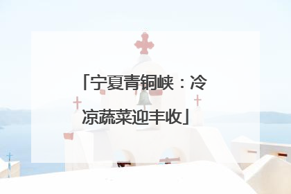 宁夏青铜峡：冷凉蔬菜迎丰收