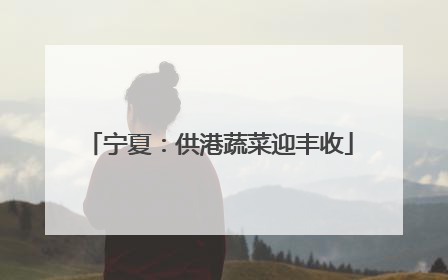宁夏：供港蔬菜迎丰收