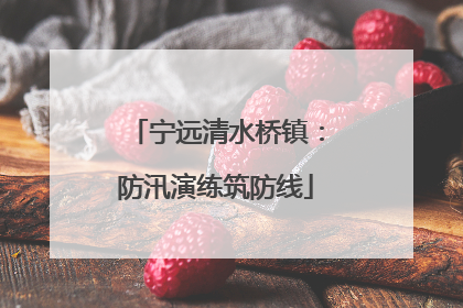 宁远清水桥镇：防汛演练筑防线