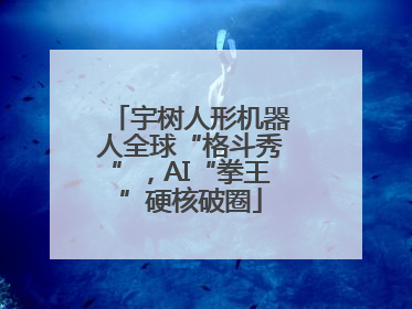 宇树人形机器人全球“格斗秀”，AI“拳王”硬核破圈