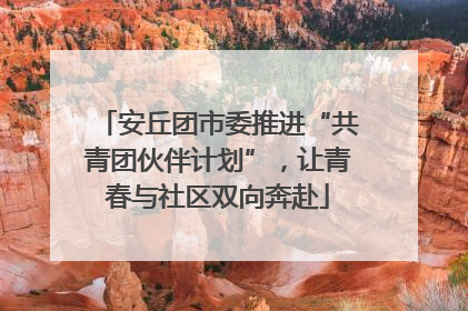 安丘团市委推进“共青团伙伴计划”，让青春与社区双向奔赴