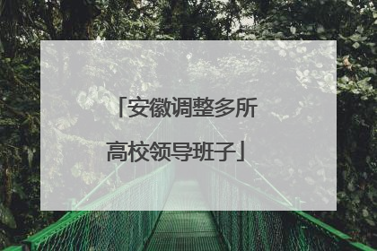 安徽调整多所高校领导班子
