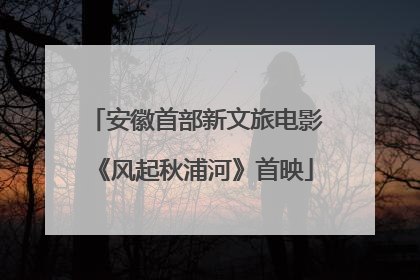 安徽首部新文旅电影《风起秋浦河》首映