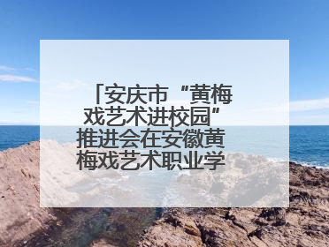 安庆市“黄梅戏艺术进校园”推进会在安徽黄梅戏艺术职业学院顺利召开