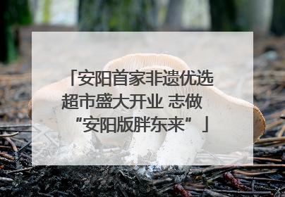 安阳首家非遗优选超市盛大开业 志做“安阳版胖东来”